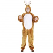 826 Hase frontal1