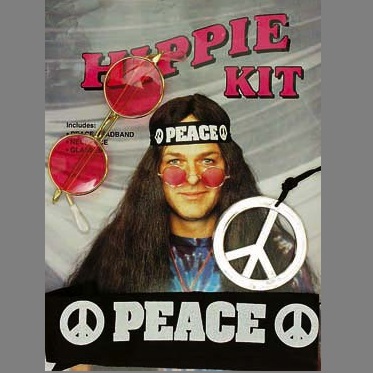 43852 Hippiboyset